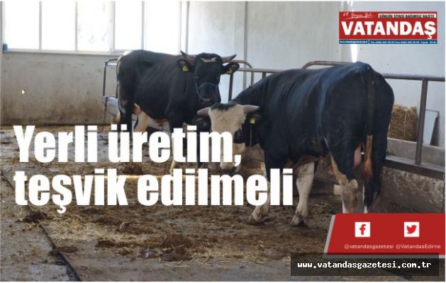 Yerli üretim, teşvik edilmeli Yerli üretim, teşvik edilmeli