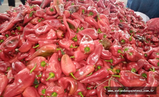 PAZARIN GÖZDESİ 2,5 TL’YE DÜŞTÜ PAZARIN GÖZDESİ 2,5 TL’YE DÜŞTÜ