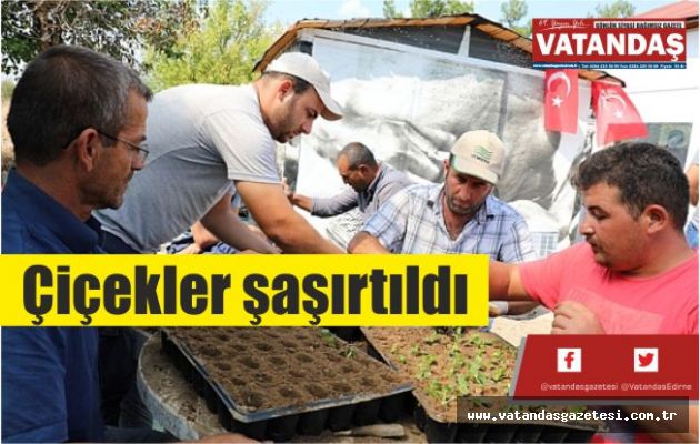 Çiçekler şaşırtıldı