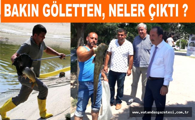 Suni gölette, balık sürprizi !