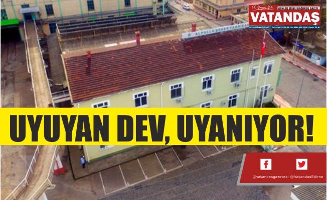 UYUYAN DEV, UYANIYOR!