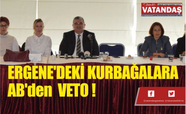 ERGENE'DEKİ KURBAĞALARA AB'den  VETO !