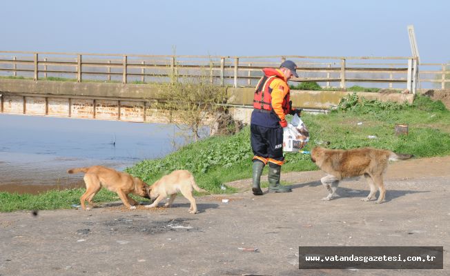 AFAD'tan yardım eli !            