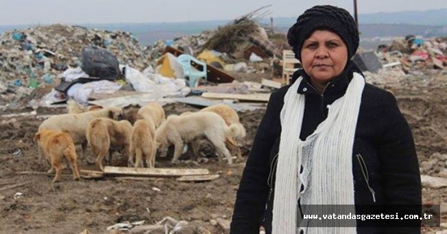 SOKAK HAYVANLARI ÖKSÜZ KALDI