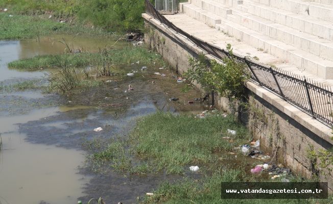 “TURİSTLERE REZİL OLUYORUZ”