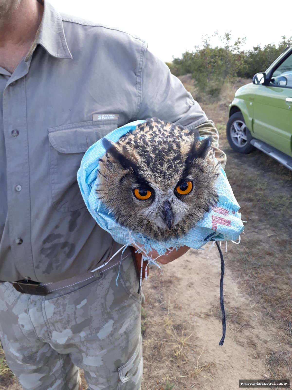 AVCILAR PUHU KUŞUNU KURTARDI