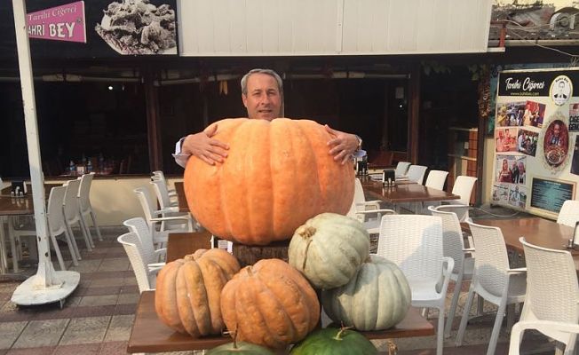 DEV KABAK BÜYÜK İLGİ GÖRÜYOR