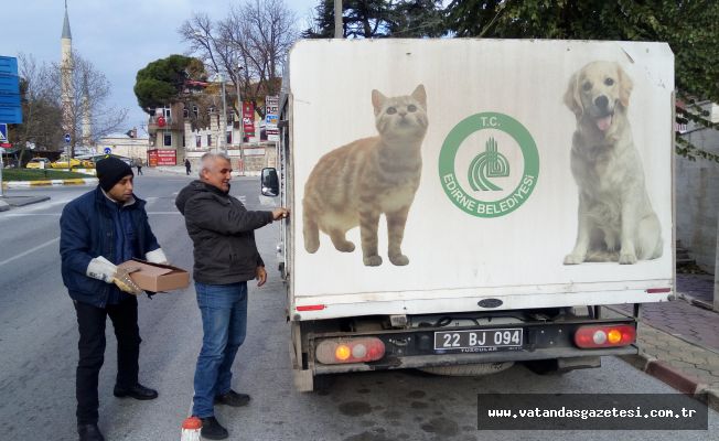 BAŞARILI KEDİ OPERASYONU