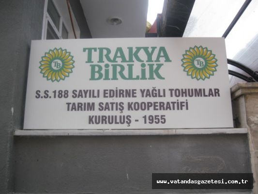 YAĞLI TOHUMLARDA SEÇİM HEYECANI