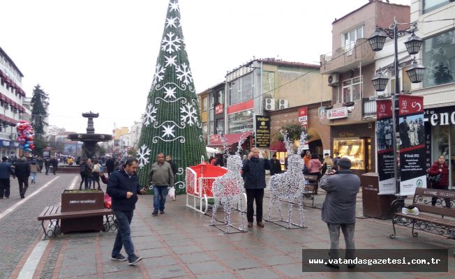 GEYİKLERE YOĞUN İLGİ!