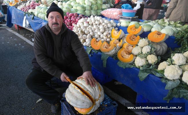 KARAAĞAÇ ÇİFTÇİSİ ZORDA