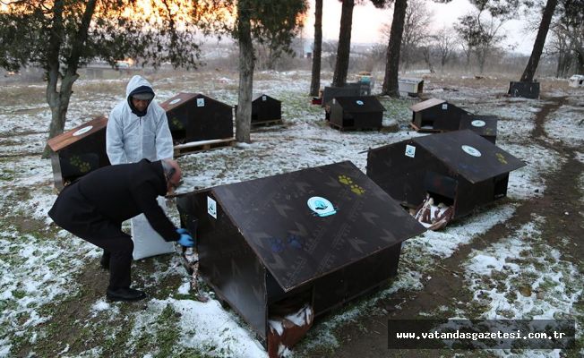 MAMA DESTEĞİ DEVAM EDİYOR