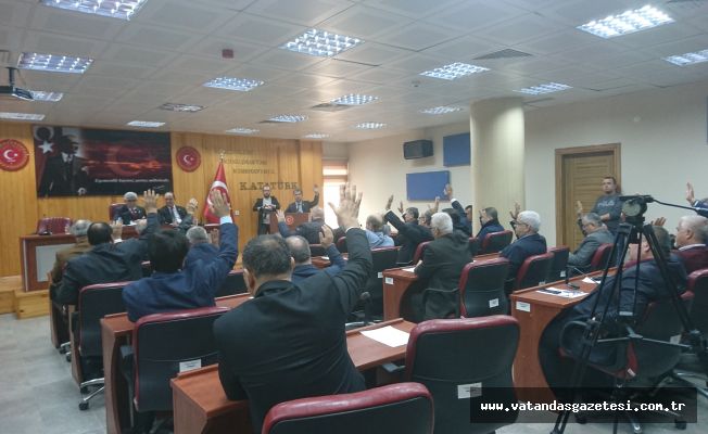 OLAĞANÜSTÜ TOPLANDILAR