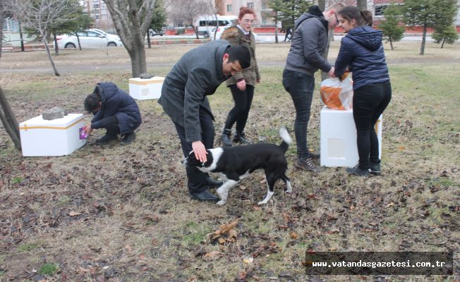 "BİR PORTAKAL, BİR KÖPÜK; İŞTE MUTLULUK!"
