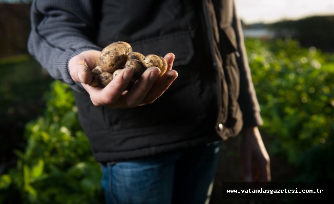 ÇİFTÇİYE MÜJDE YOLDA