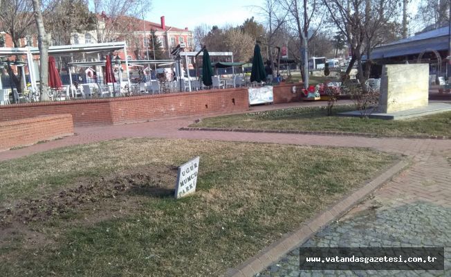 İNSANLARIN OTURACAĞI YERİ OLMAYAN PARK