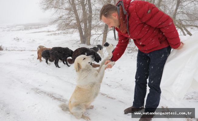 SOKAK HAYVANLARI UNUTULMADI