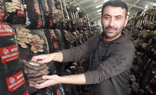 KÖYÜNE DÖNÜP İŞ KURDU ŞİMDİ SİPARİŞLERE YETİŞEMİYOR!