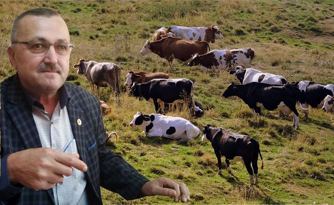 SORUNLARI 3 MADDEDE TARIM BAKANI’NA AKTARACAKLAR!