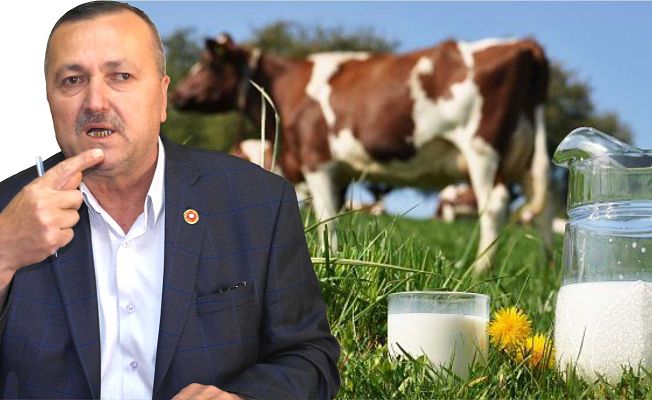 SÜT HAYVANCILIĞINDA CİDDİ TEHLİKE!