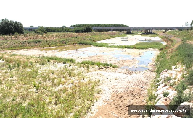 1 YILLIK EMEK BOŞA MI GİDECEK?