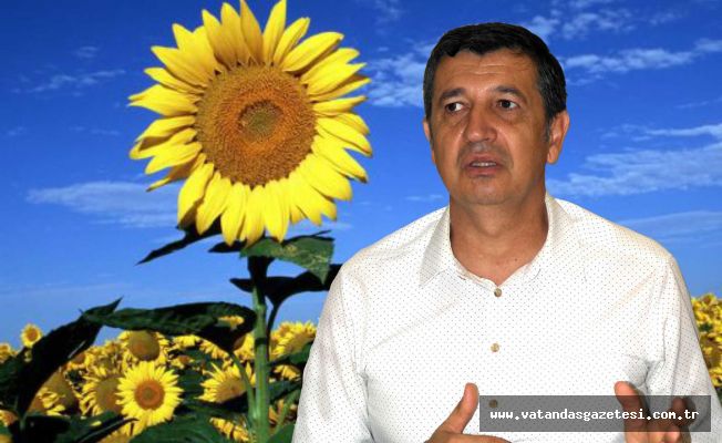 AYÇİÇEĞİNDE FİYAT BEKLENTİSİ  EN AZ 2500 TL