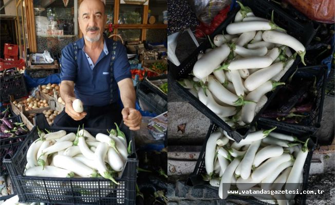 GÖRENLER ŞAŞIP KALIYOR