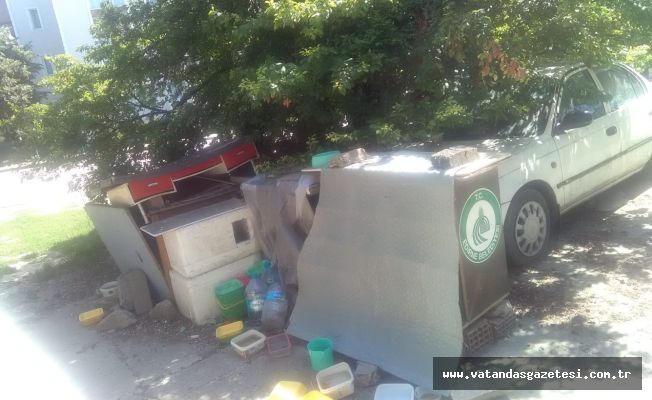 KEDİ EVİ Mİ ÇÖPLÜK MÜ?