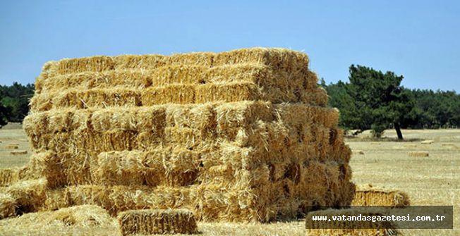 SAMANDA 2 KAT ARTIŞ!