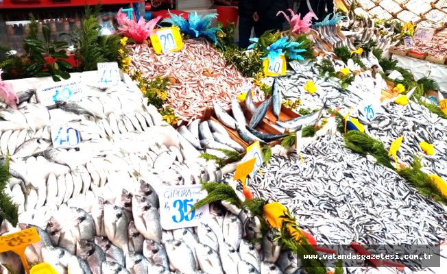 BALIK FİYATLARI DÜŞMEK BİLMİYOR!