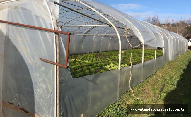 LODOS SERALARI VURDU!