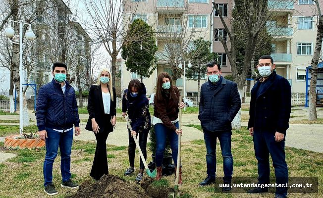 DEVA Partisinden 8 Mart Kadınlar Günü için Fidan Dikimi