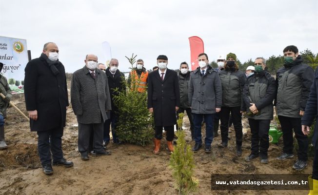 Vali Canalp; "Edirne’de Orman Alanlarımızı Arttırmaya Devam Ediyoruz"