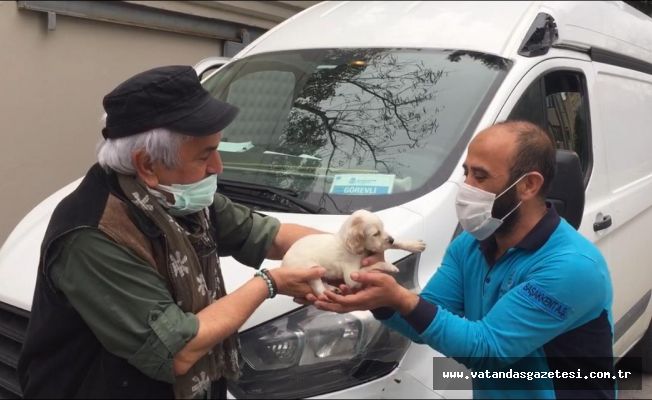 AVCILAR, ARAMA VE KURTARMA TİMİNE YAVRU AV KÖPEĞİ HEDİYE ETTİ