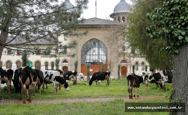 TRAKYA ÜNİVERSİTESİ KAMPÜSLERİNDE BİYOÇEŞİTLİLİK BAHARI