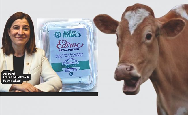 ‘PEYNİR’ İTTİFAKI !