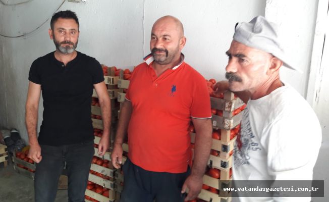 DENETİMSİZLİK, ‘HAL’İ BİTİRDİ