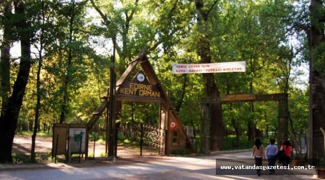 ORMANLAR BİR AY YASAK