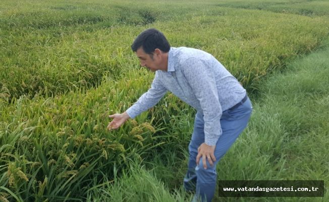 “ÖLÜMÜ GÖSTERİP SITMAYA RAZI ETMEK”