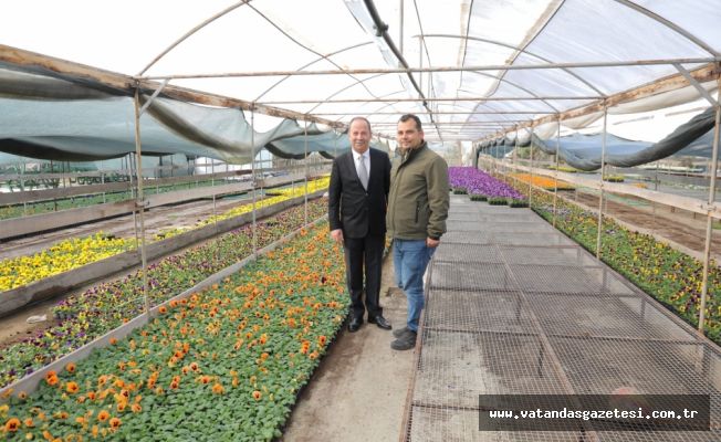 BELEDİYE SERALARINDA YETİŞEN RENGARENK ÇİÇEKLER,  TOPRAKLA BULUŞACAK