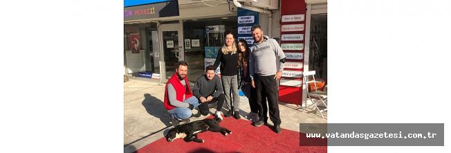 ZEYTİN'E YENİ YUVA