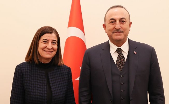 AKSAL,ÇAVUŞOĞLU İLE BİR ARAYA GELDİ