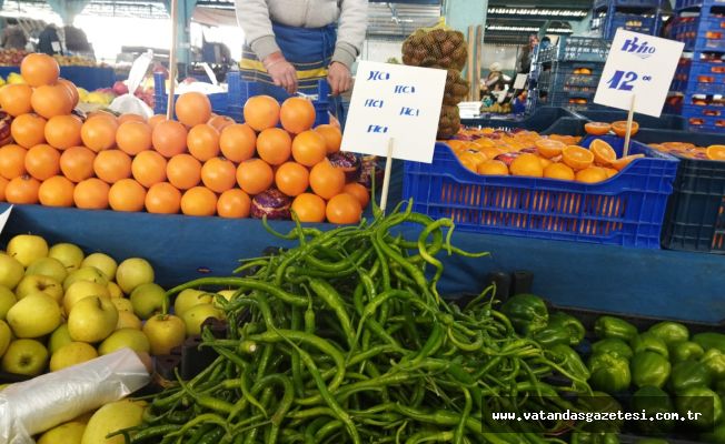 BİBER 50 LİRA OLDU!