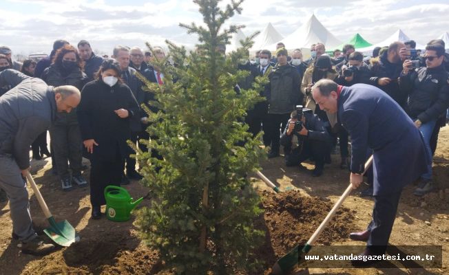 VALİ CANALP, “ORMAN VARLIKLARIMIZI ARTTIRMAYA DEVAM EDİYORUZ”