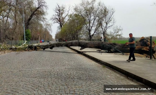 FIRTINA, YIKTI GEÇTİ