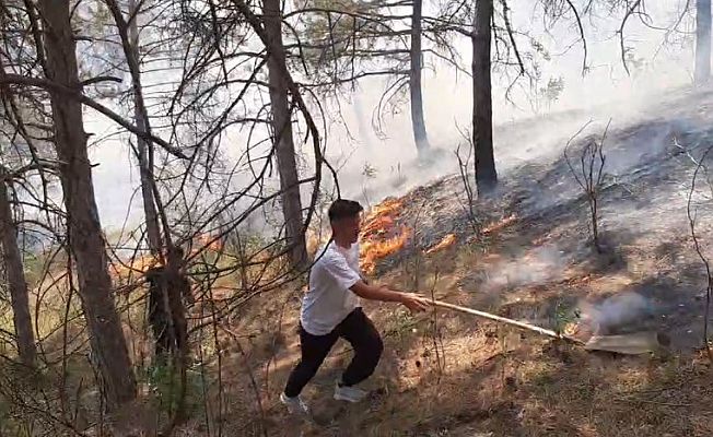 ORMAN YANGINI KORKUTTU