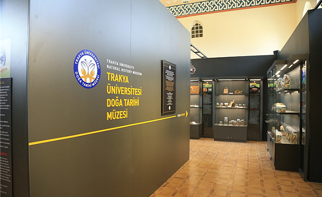 DOĞA TARİHİ MÜZESİ İKİ AYDA 20 BİN ZİYARETÇİ SAYISINA YAKLAŞTI