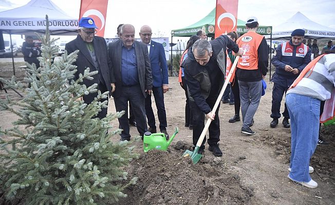 100'ÜNCÜ YIL ORMANININ AĞAÇLARI DİKİLDİ