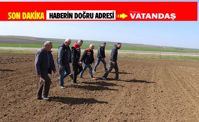 AYÇİÇEĞİNDE ÖRNEK EKİM