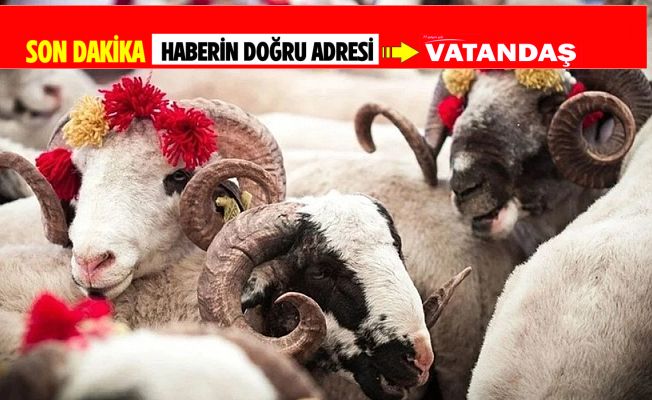 BELEDİYEDEN " DAYANIŞMA PROJESİ"